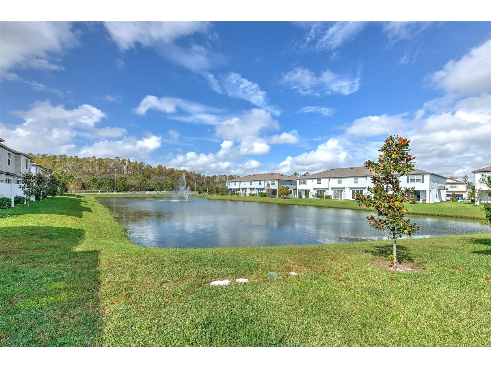 2899 Deer Pine Trail Land O Lakes FL 34638 TB8513279 image8