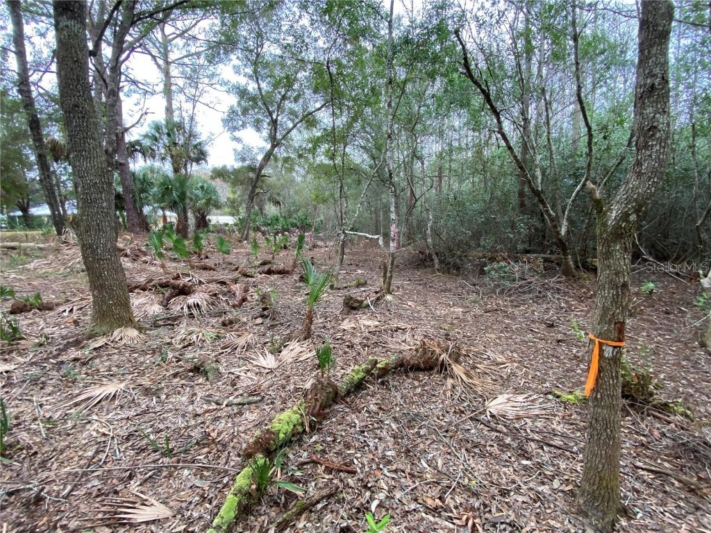 2899 N Carolina Road Crystal River FL 34428 T3493947 image1