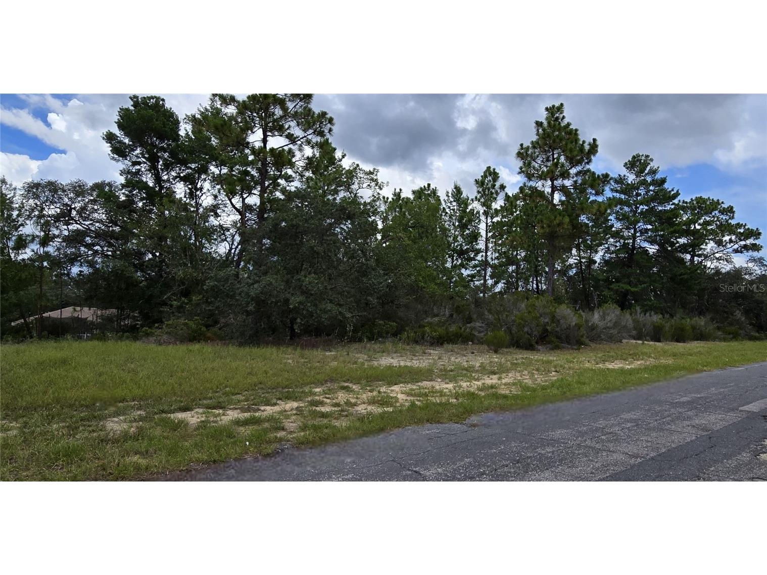 2899 W Santana Drive Citrus Springs FL 34433 W7878282 image1