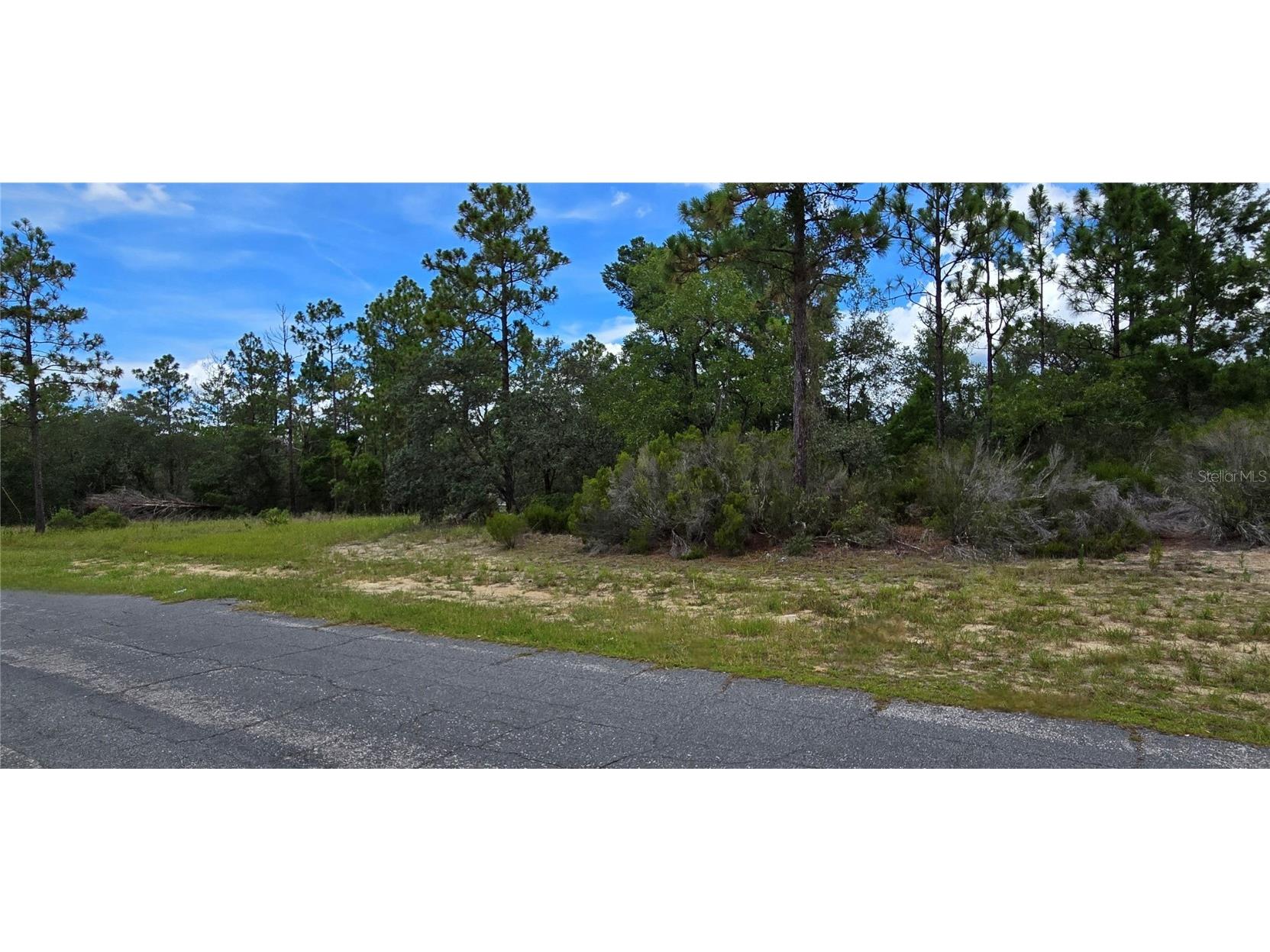 2899 W Santana Drive Citrus Springs FL 34433 W7878282 image2