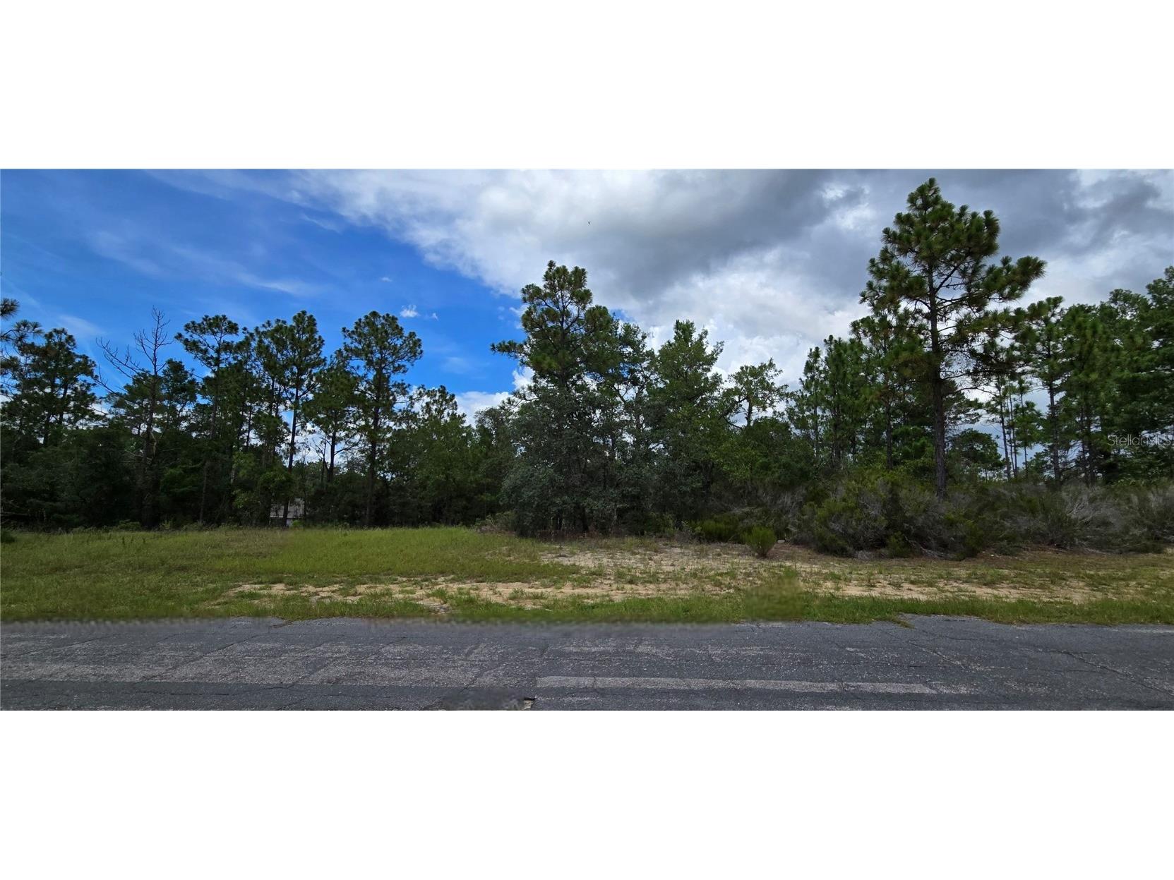 2899 W Santana Drive Citrus Springs FL 34433 W7878282 image3