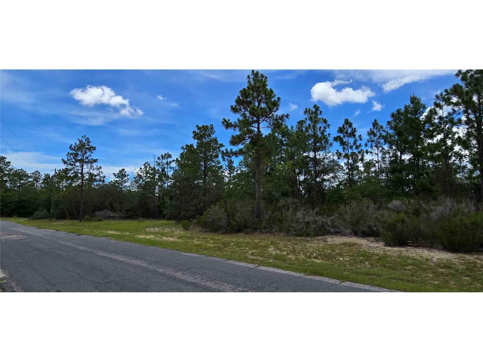 2899 W Santana Drive Citrus Springs FL 34433 W7878282 image4