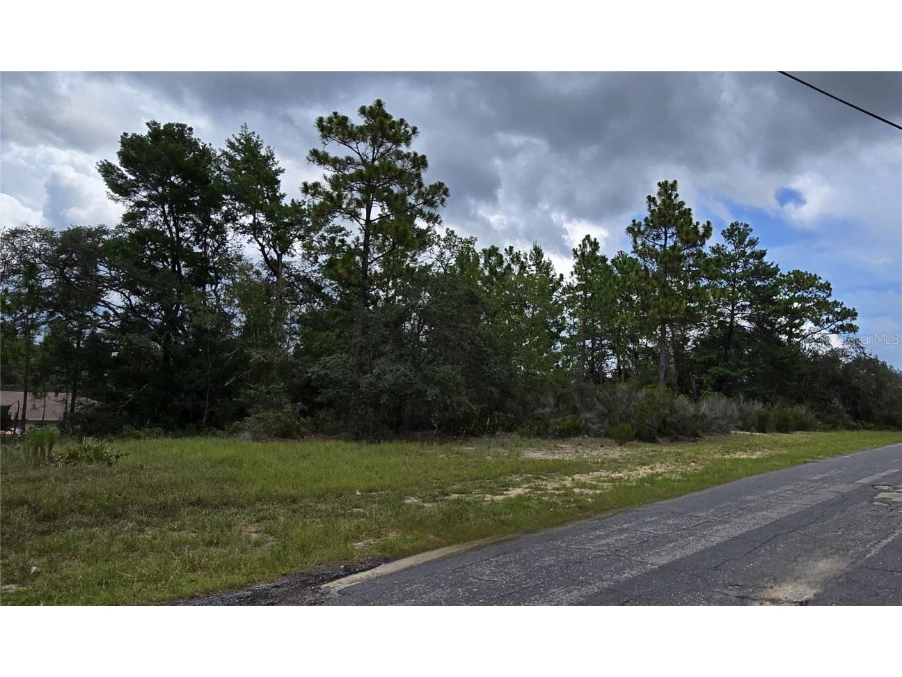 2899 W Santana Drive Citrus Springs FL 34433 W7878282 image5