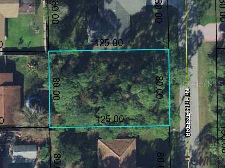 29 Breeze Hill Lane Palm Coast FL 32164 FC276382 image2