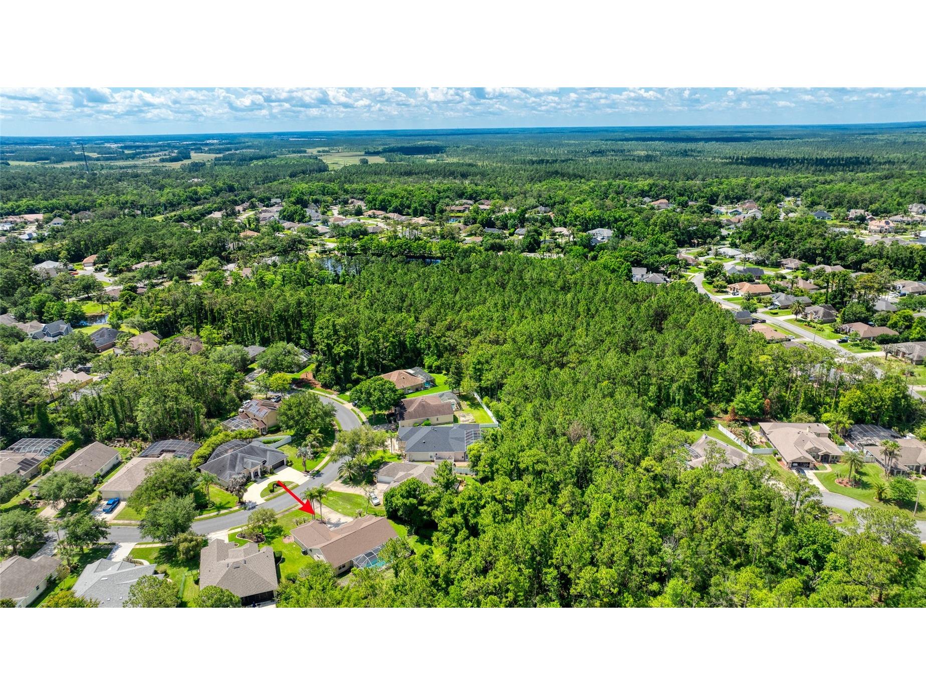 29 Canterbury Woods Ormond Beach FL 32174 O6408907 image60