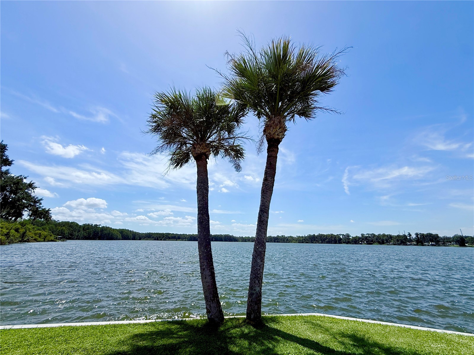 29 Club House Eustis FL 32726 G5115515 image11