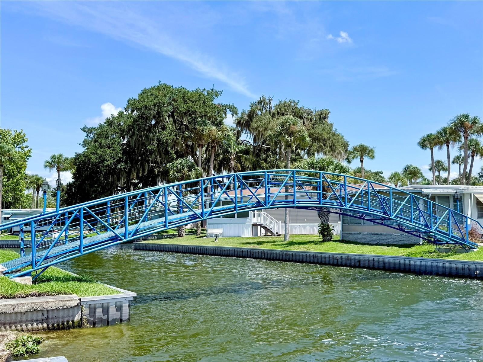 29 Club House Eustis FL 32726 G5115515 image12