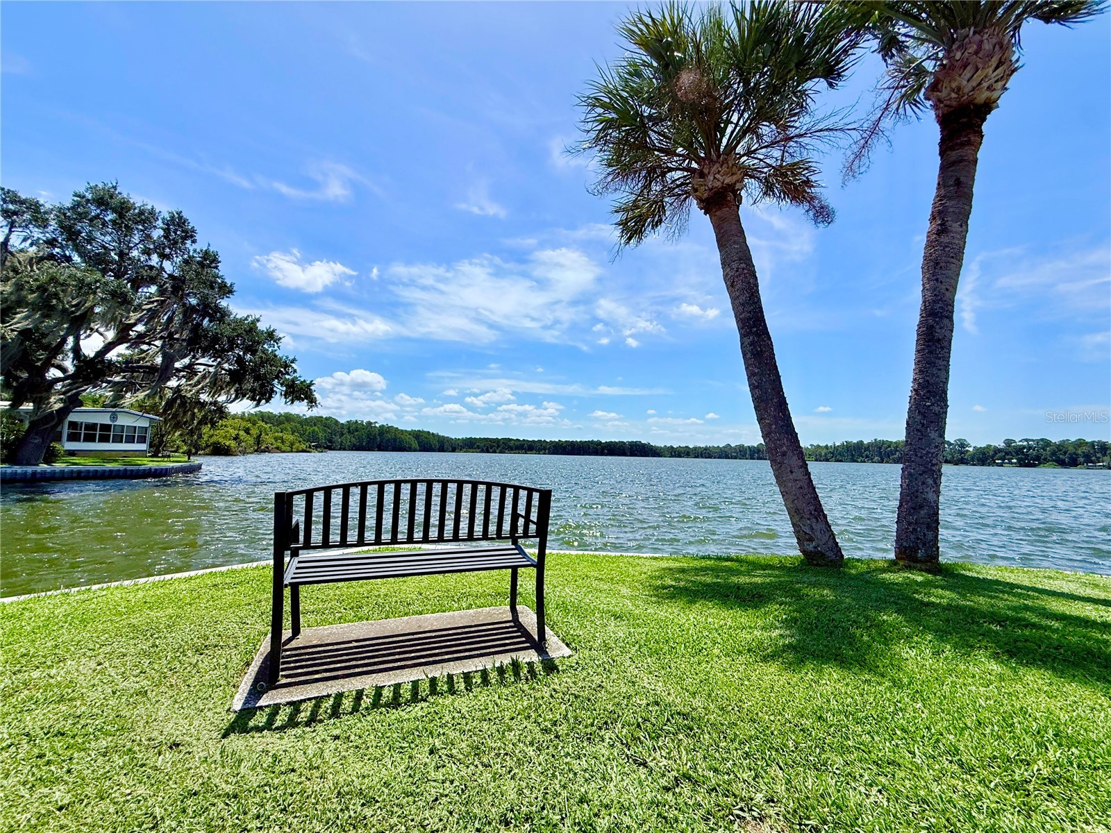 29 Club House Eustis FL 32726 G5115515 image14