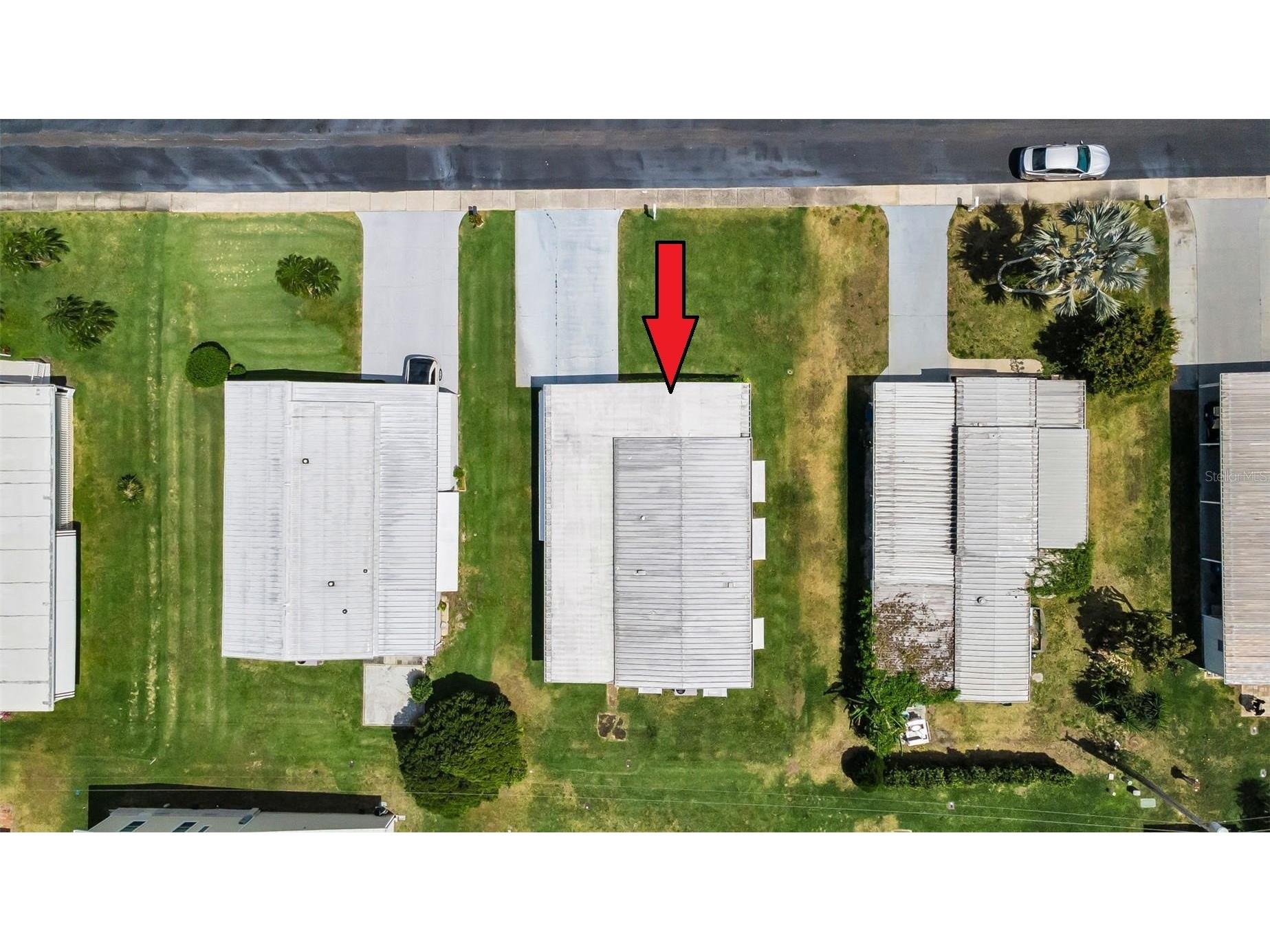 29 Concord Lane #11 Palm Harbor FL 34684 TB8492359 image14