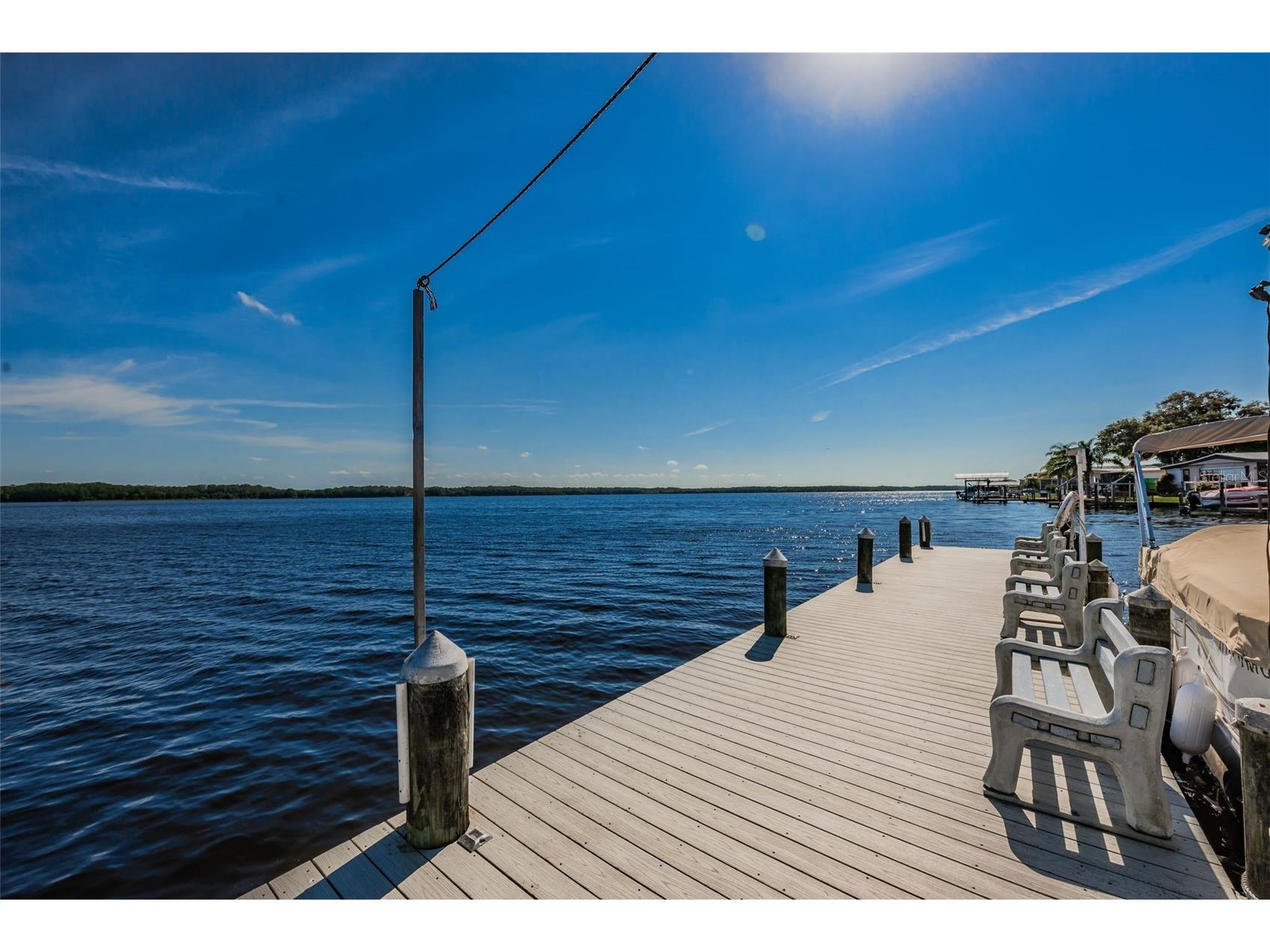 29 Concord Lane #11 Palm Harbor FL 34684 TB8492359 image3