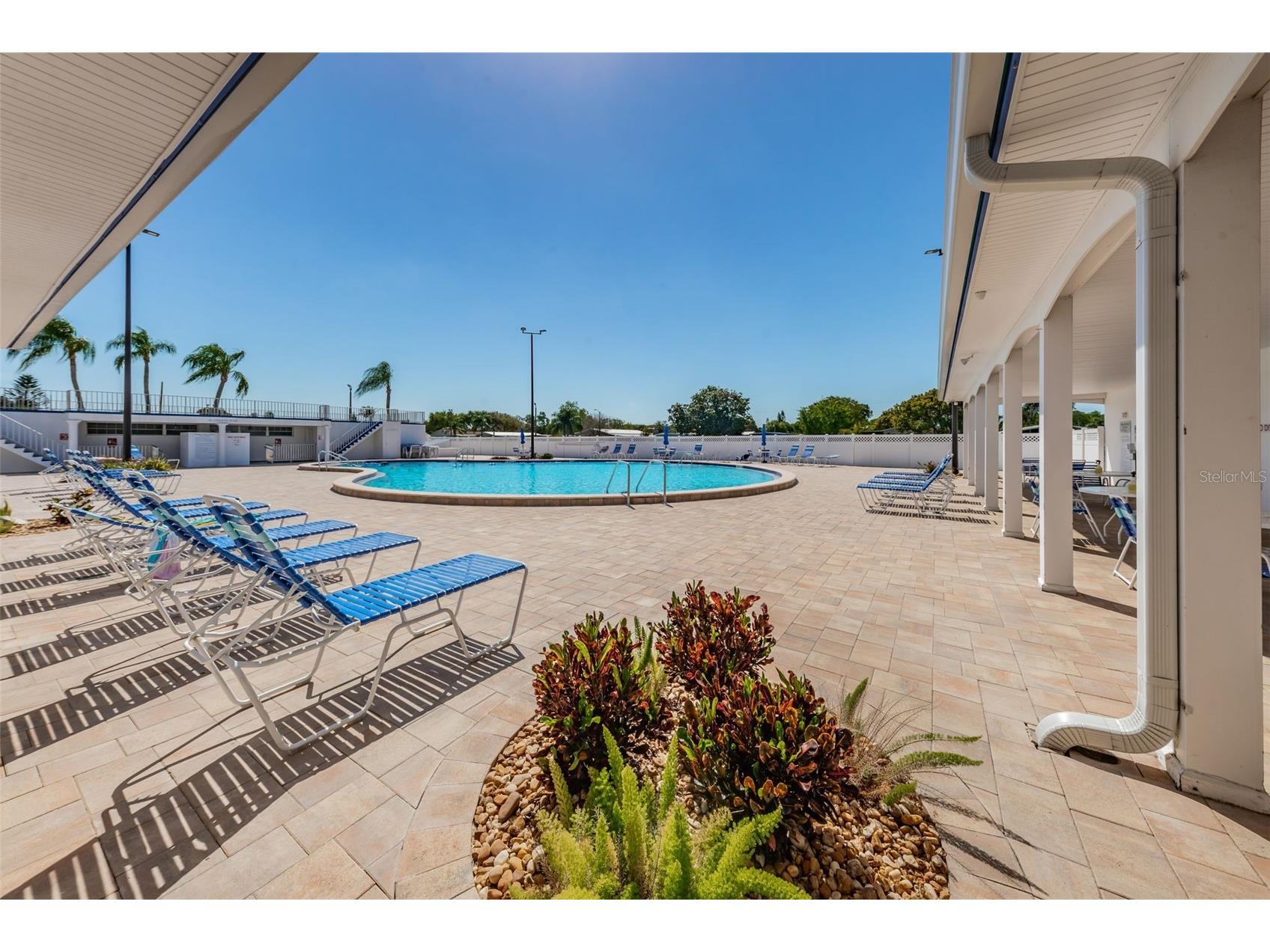 29 Concord Lane #11 Palm Harbor FL 34684 TB8492359 image57