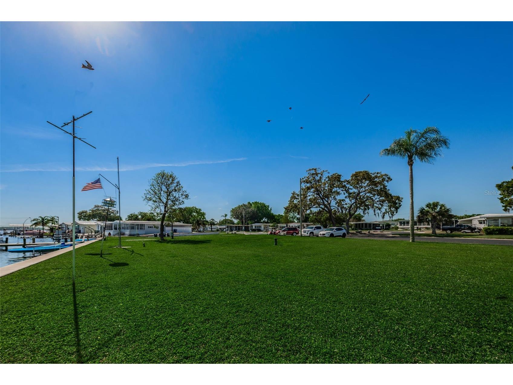29 Concord Lane #11 Palm Harbor FL 34684 TB8492359 image67