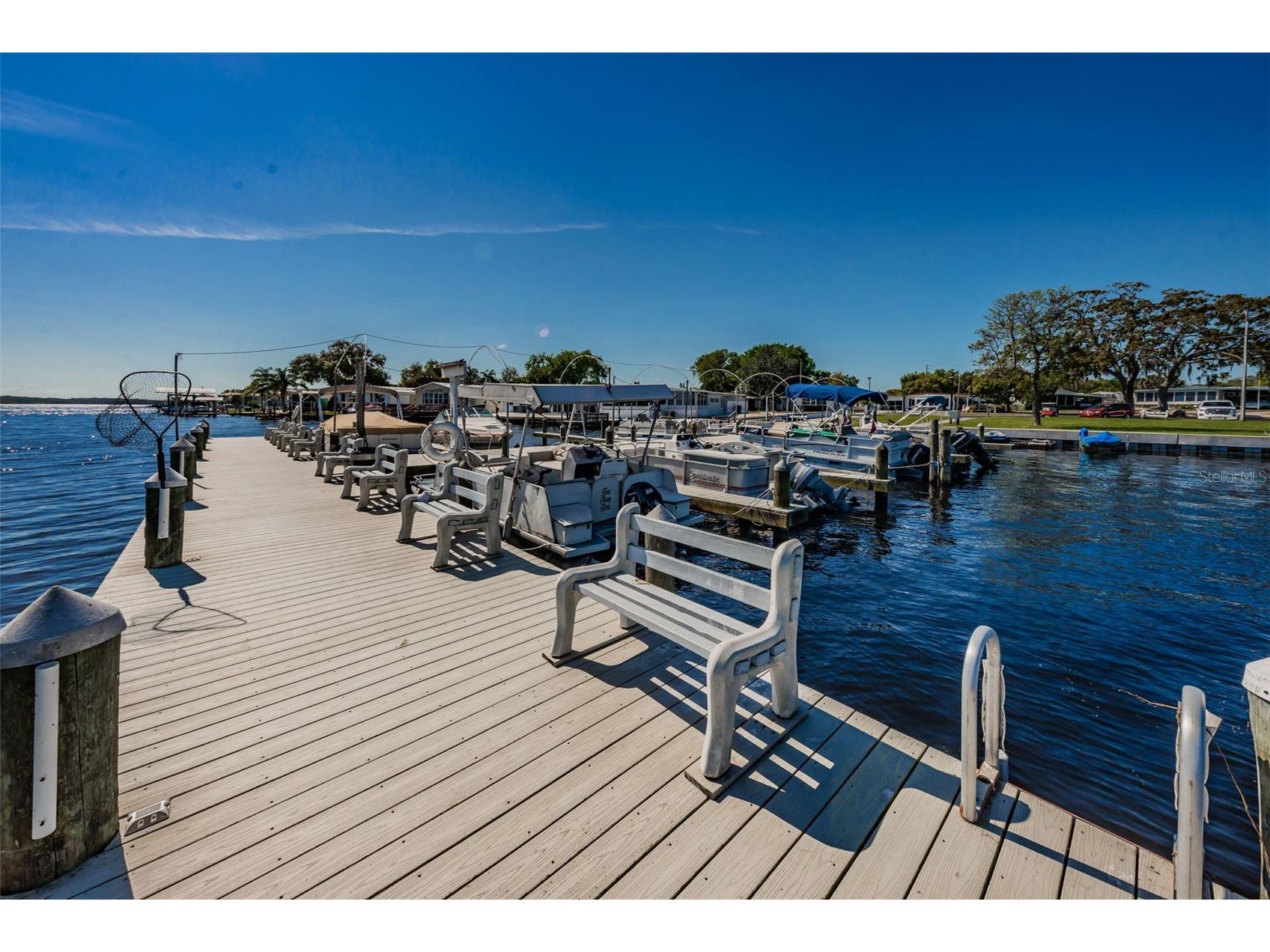29 Concord Lane #11 Palm Harbor FL 34684 TB8492359 image70