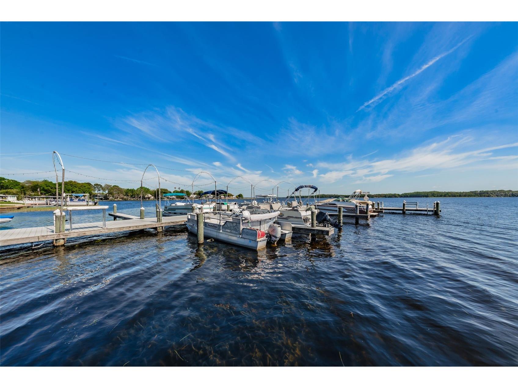 29 Concord Lane #11 Palm Harbor FL 34684 TB8492359 image84