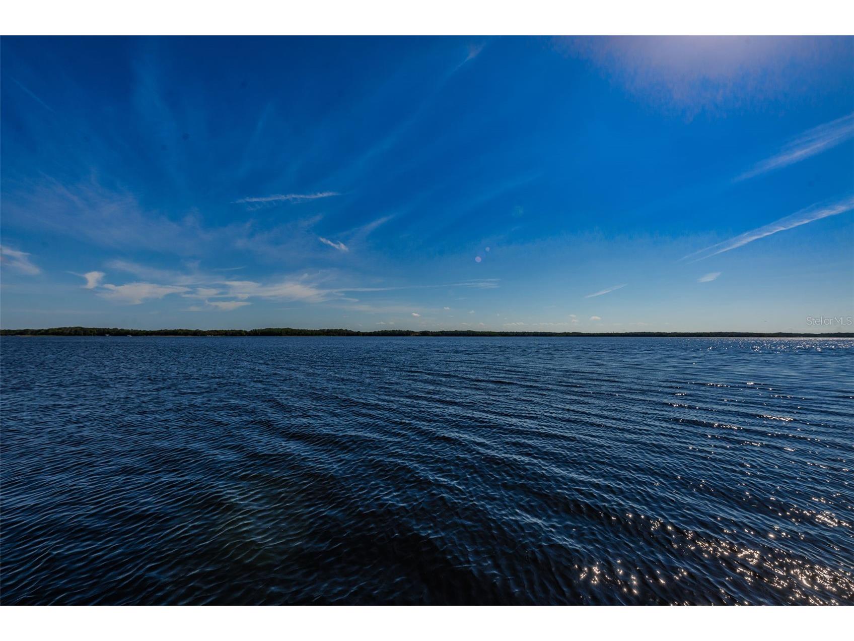 29 Concord Lane #11 Palm Harbor FL 34684 TB8492359 image85