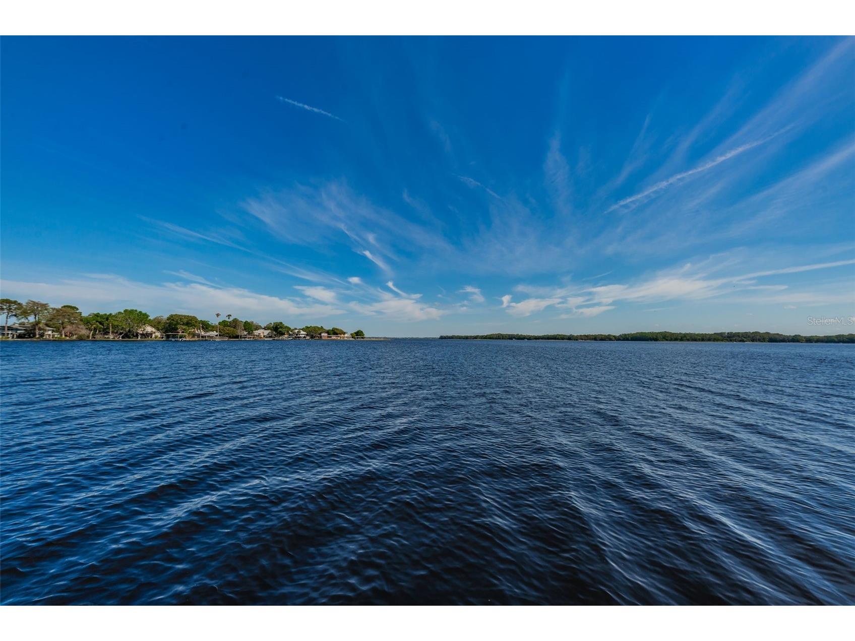 29 Concord Lane #11 Palm Harbor FL 34684 TB8492359 image86