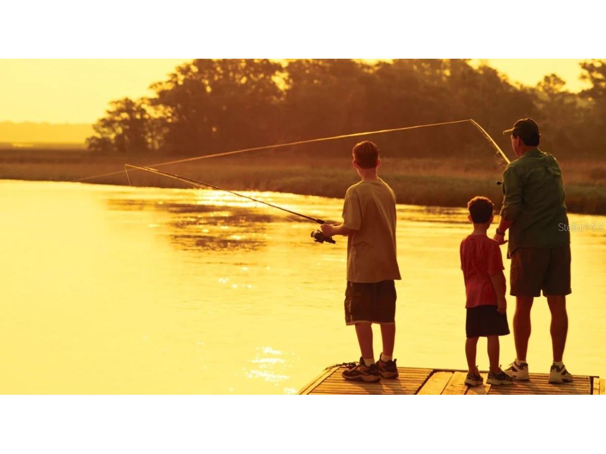 29 Coronado Road Flagler Beach FL 32136 FC304058 image69