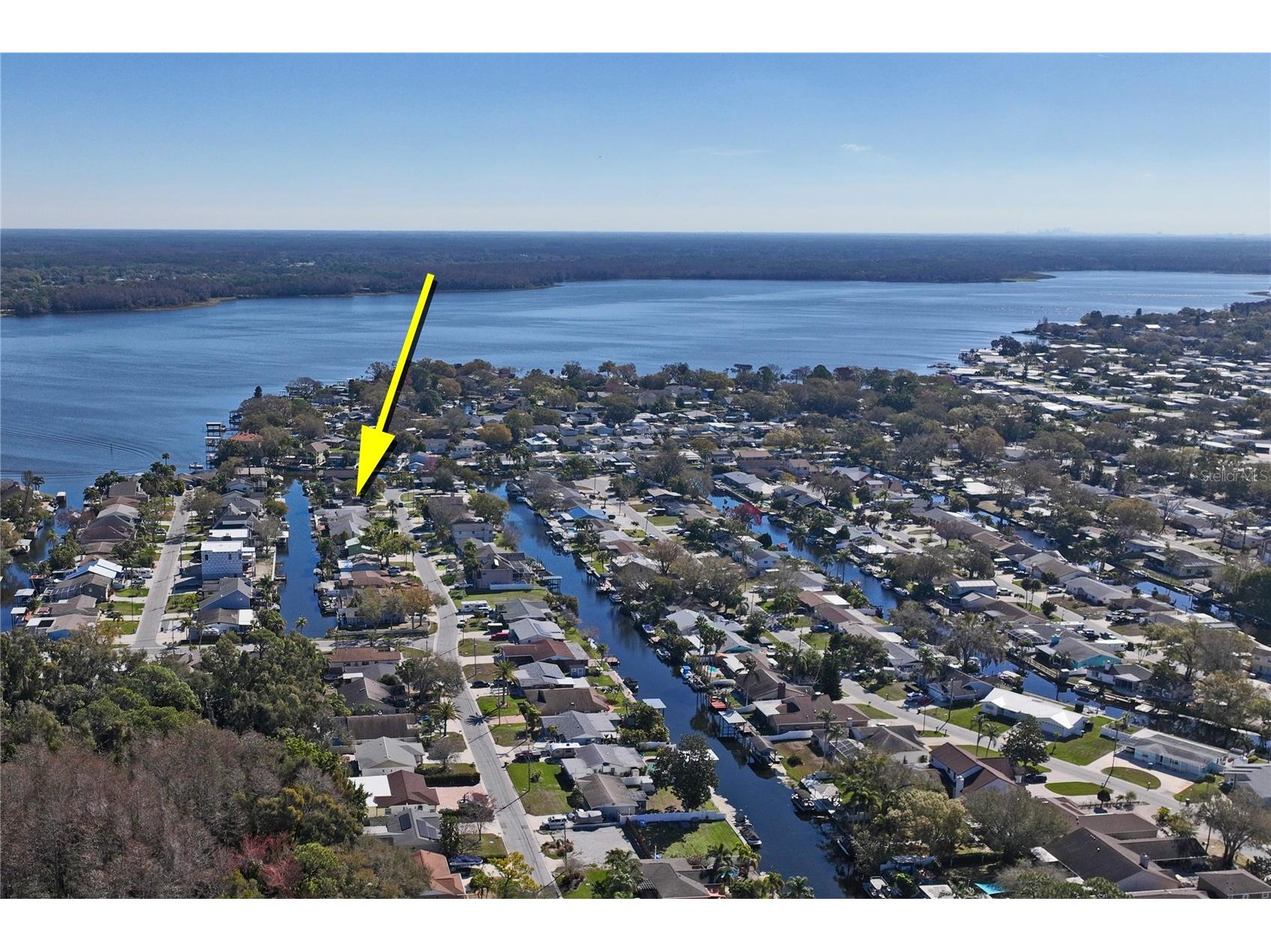29 Cypress Drive Palm Harbor FL 34684 - LAKE TARPON TB8480978 image2