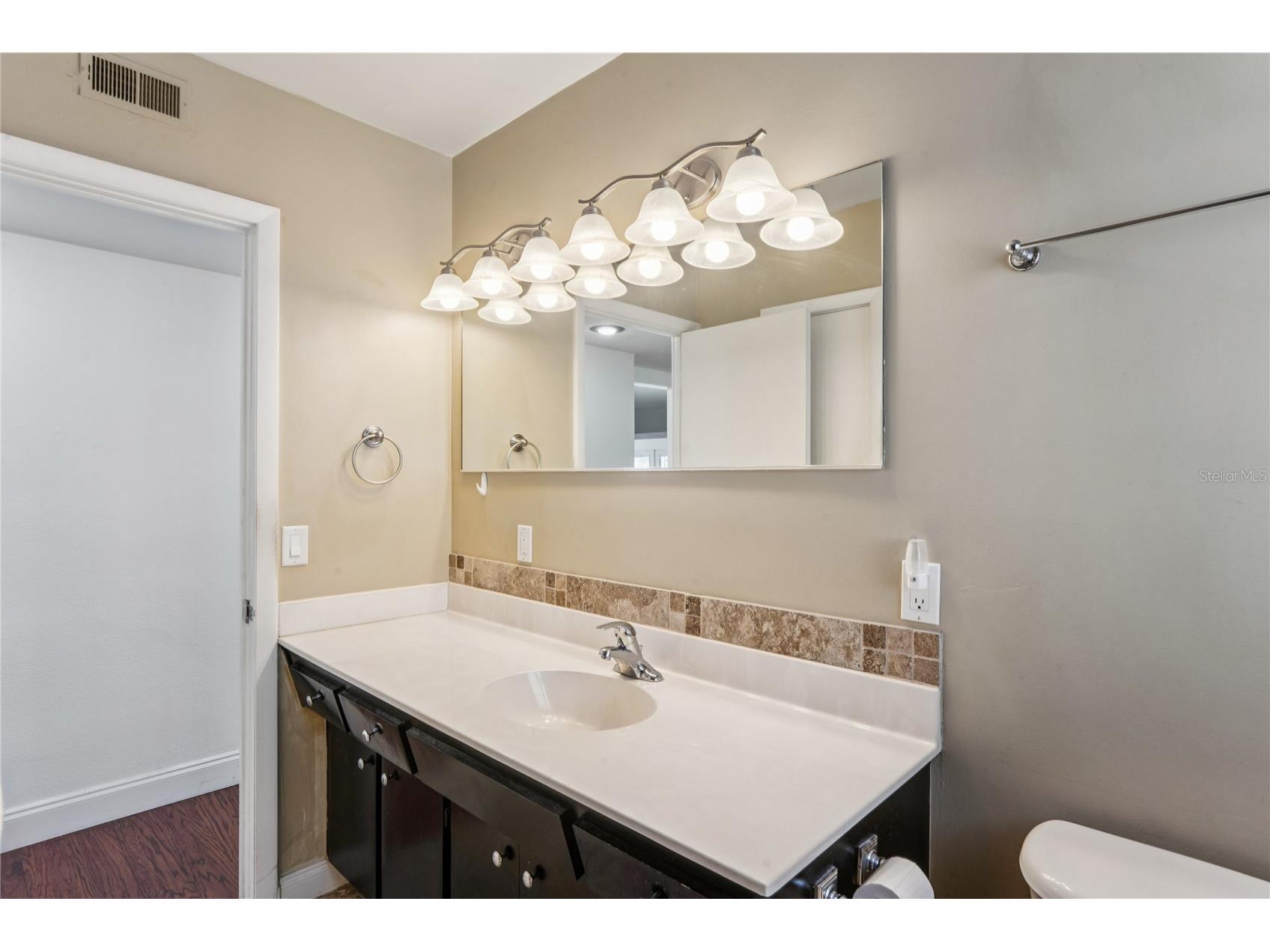 29 Cypress Drive Palm Harbor FL 34684 - LAKE TARPON TB8480978 image36