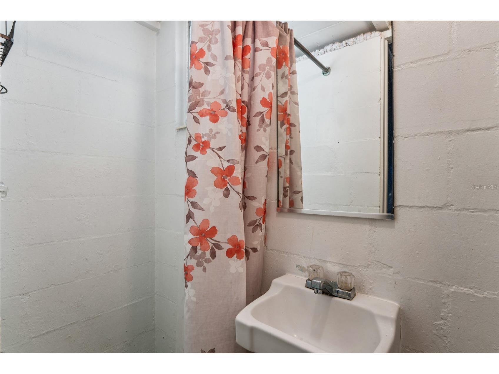 29 Cypress Drive Palm Harbor FL 34684 - LAKE TARPON TB8480978 image45