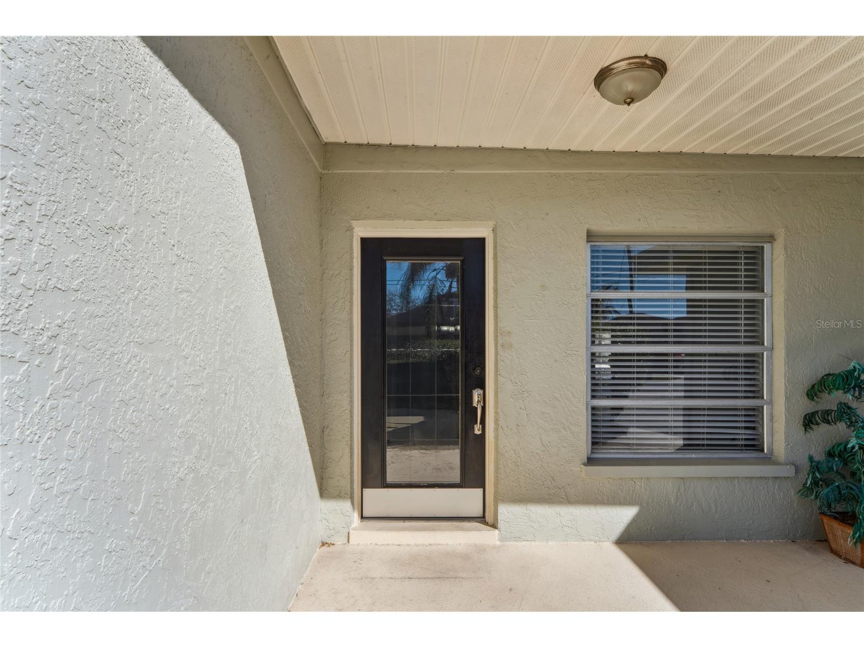 29 Cypress Drive Palm Harbor FL 34684 - LAKE TARPON TB8480978 image9