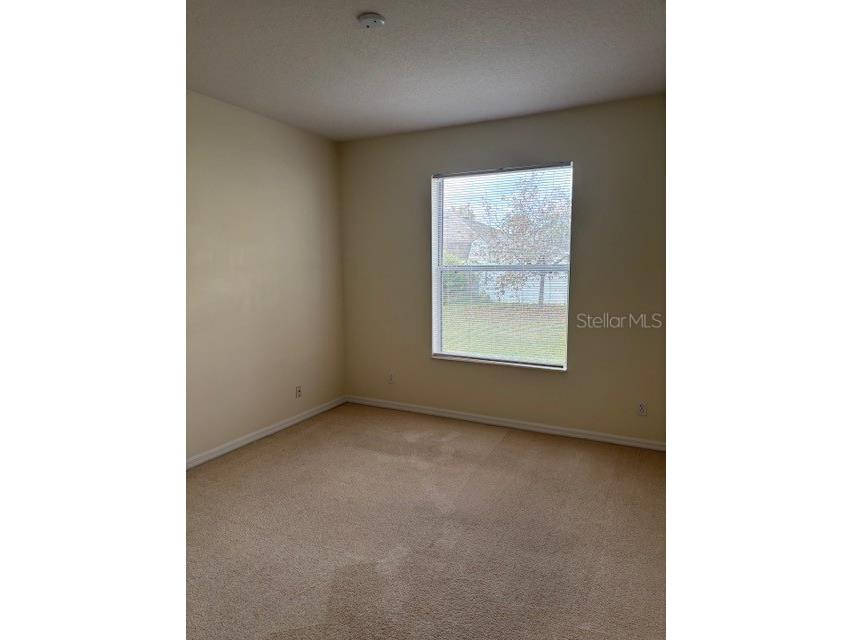 29 E Diamond Drive Palm Coast FL 32137 FC313772 image33