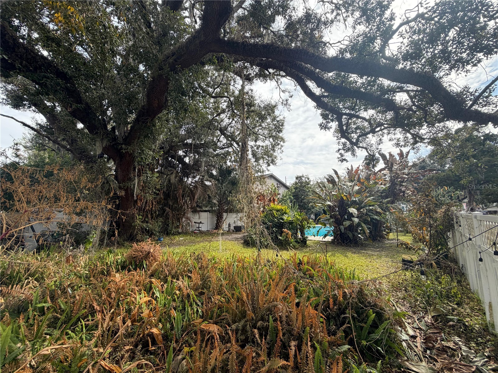 29 E Princeton Street Orlando FL 32804 O6381827 image19