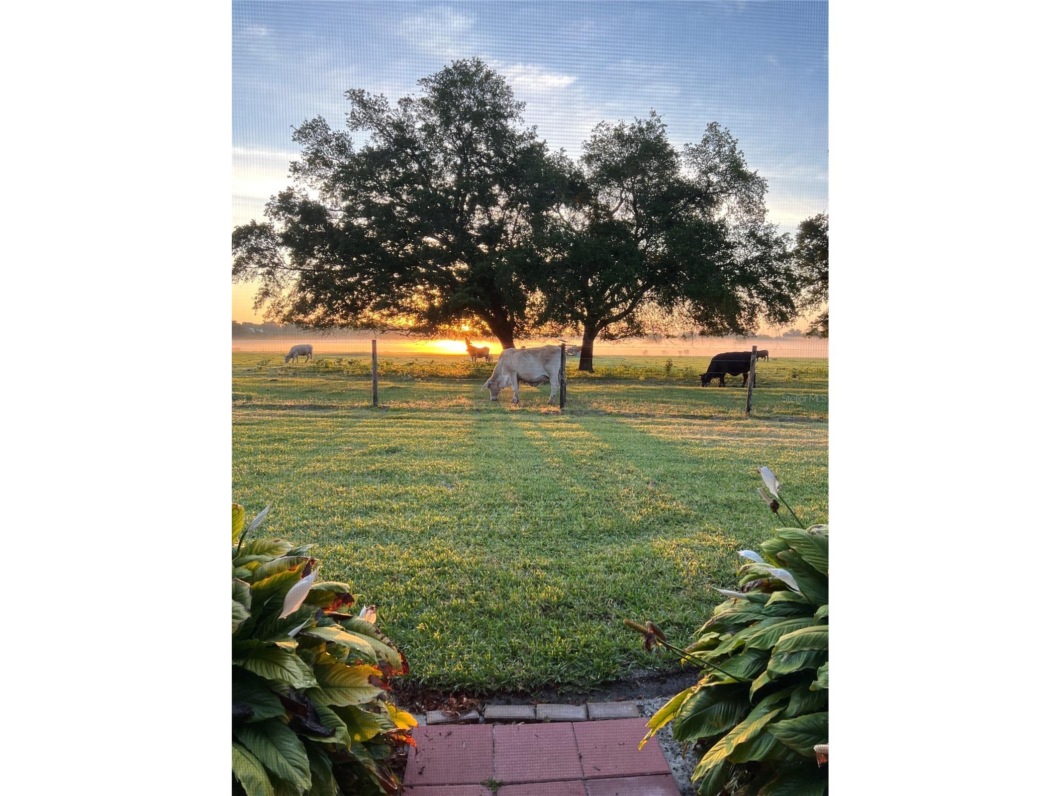 29 Enclave Drive Winter Haven FL 33884 L4959890 image25