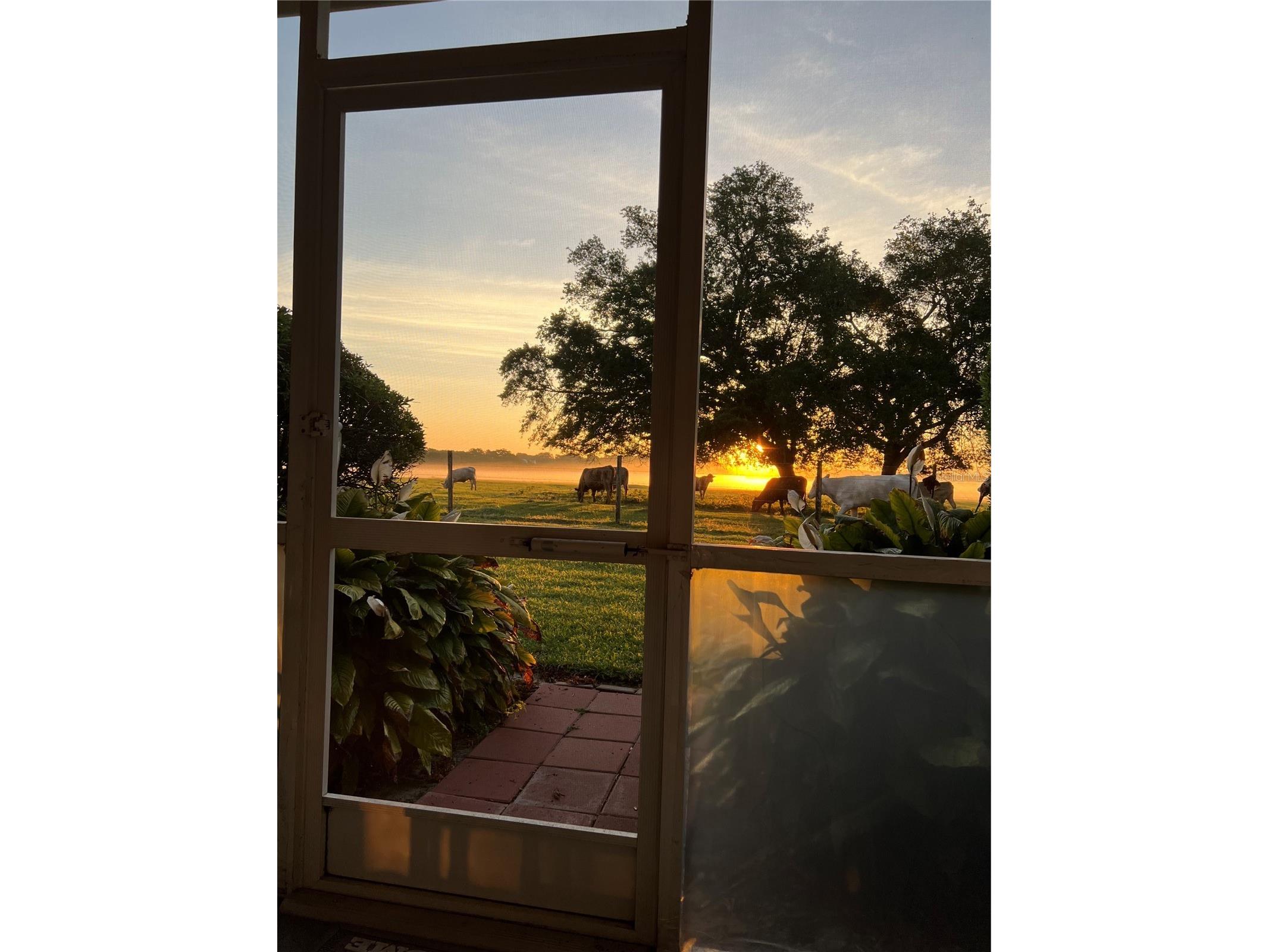 29 Enclave Drive Winter Haven FL 33884 L4959890 image26