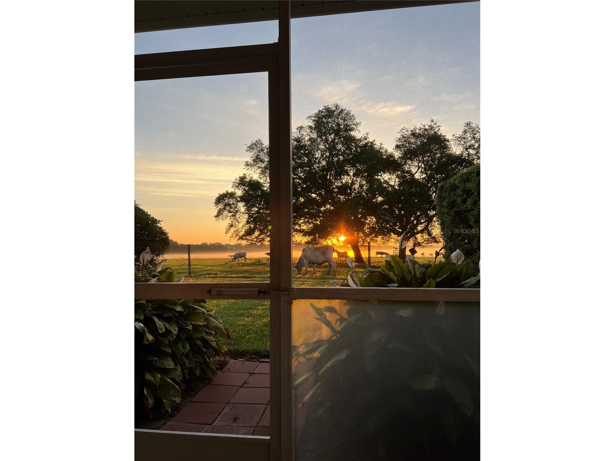 29 Enclave Drive Winter Haven FL 33884 L4959890 image27