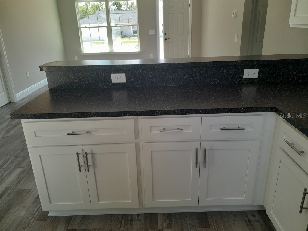 29 Fisher Terrace Ocklawaha FL 32179 OM696405 image4