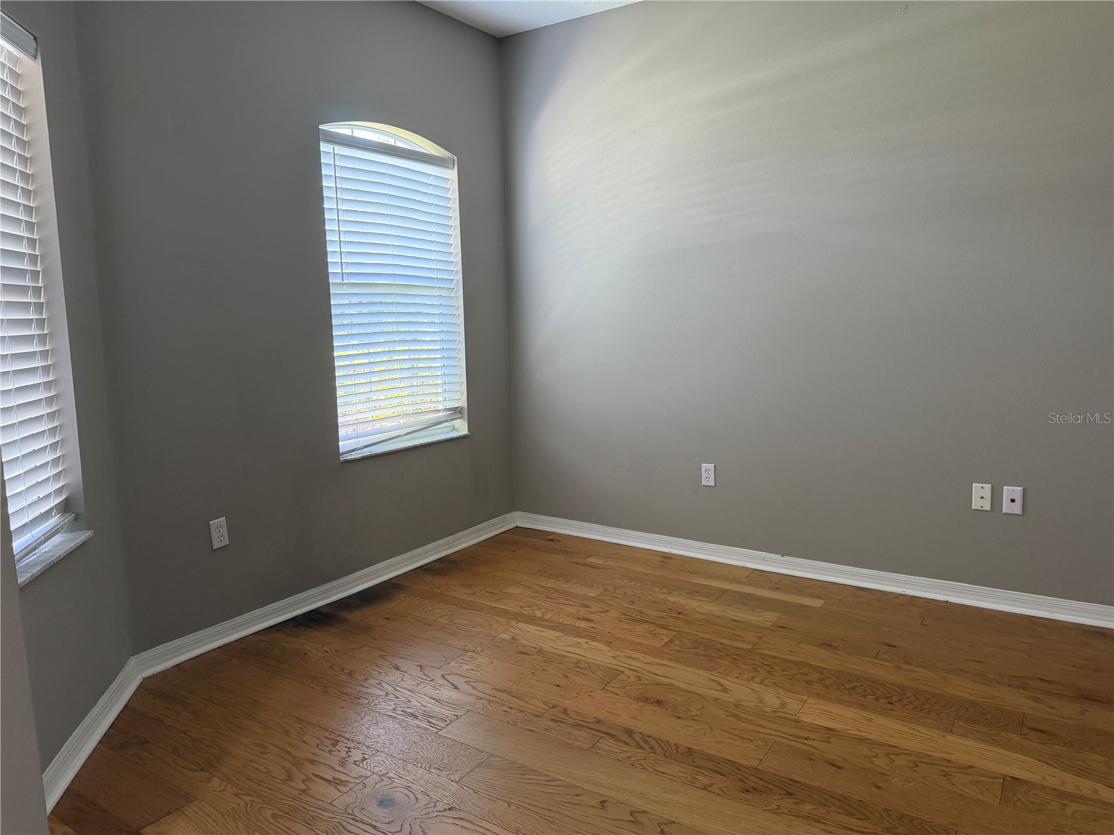 29 Forsythe Lane Palm Coast FL 32137 FC319973 image5