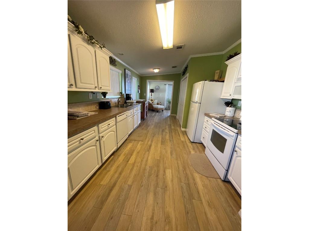 29 Ginger Quill Circle Lake Wales FL 33853 - SADDLEBAG LAKE O6156357 image24