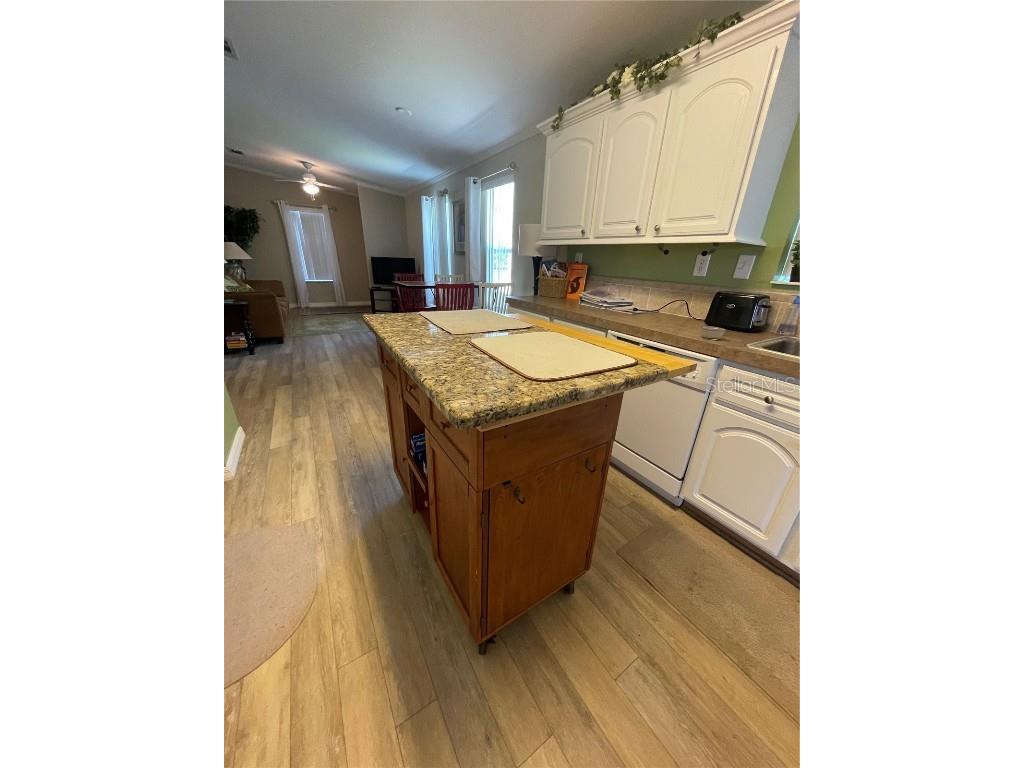 29 Ginger Quill Circle Lake Wales FL 33853 - SADDLEBAG LAKE O6156357 image31