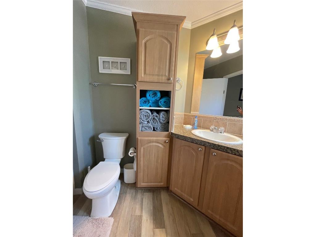 29 Ginger Quill Circle Lake Wales FL 33853 - SADDLEBAG LAKE O6156357 image40