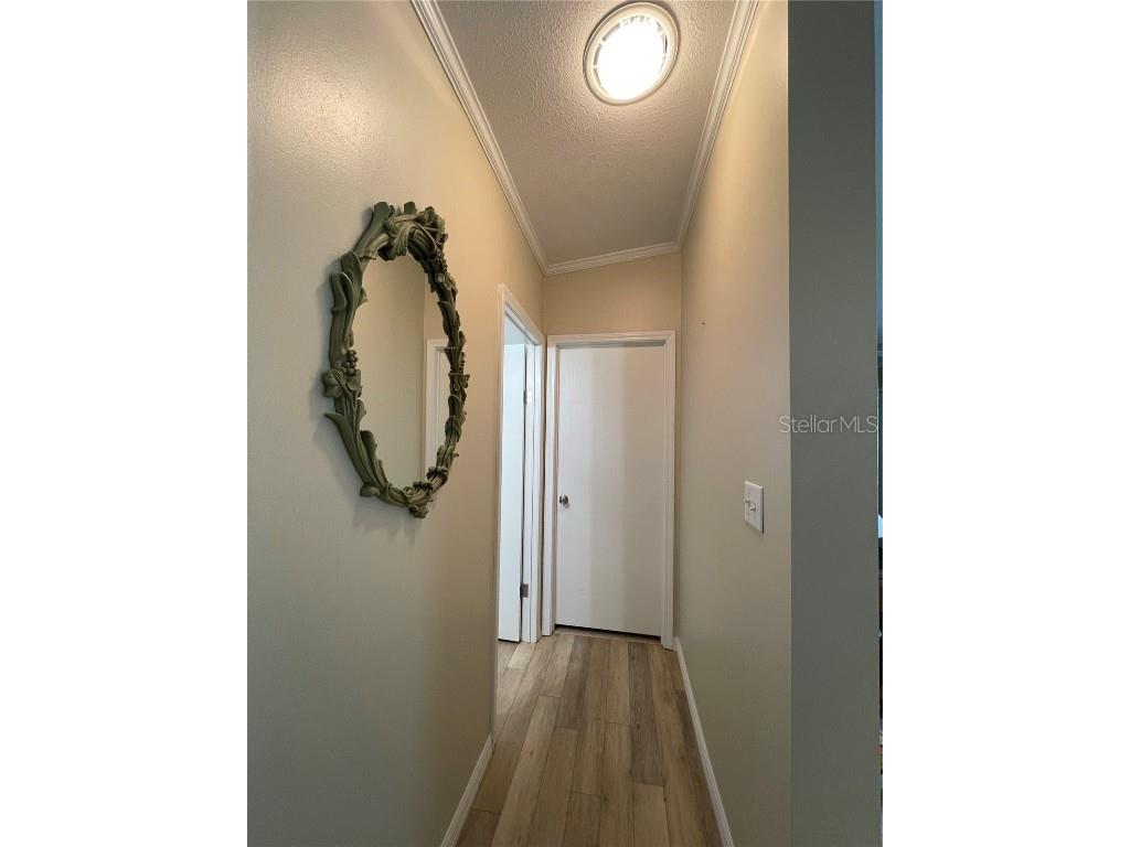 29 Ginger Quill Circle Lake Wales FL 33853 - SADDLEBAG LAKE O6156357 image44