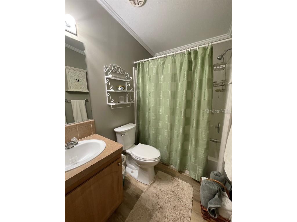 29 Ginger Quill Circle Lake Wales FL 33853 - SADDLEBAG LAKE O6156357 image46