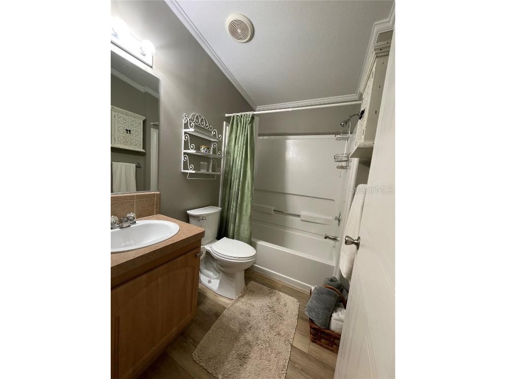 29 Ginger Quill Circle Lake Wales FL 33853 - SADDLEBAG LAKE O6156357 image47