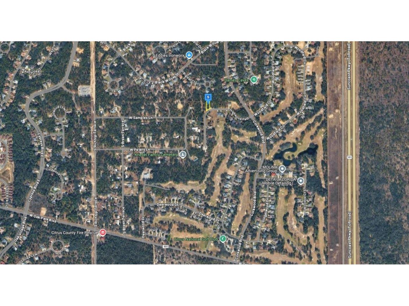 29 Highwood Path Homosassa FL 34446 A4673986 image3