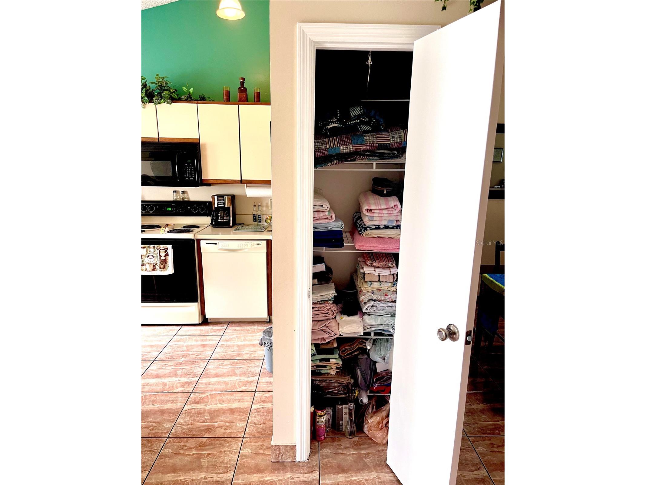 29 Lakepointe Circle Kissimmee FL 34743 O6401959 image13