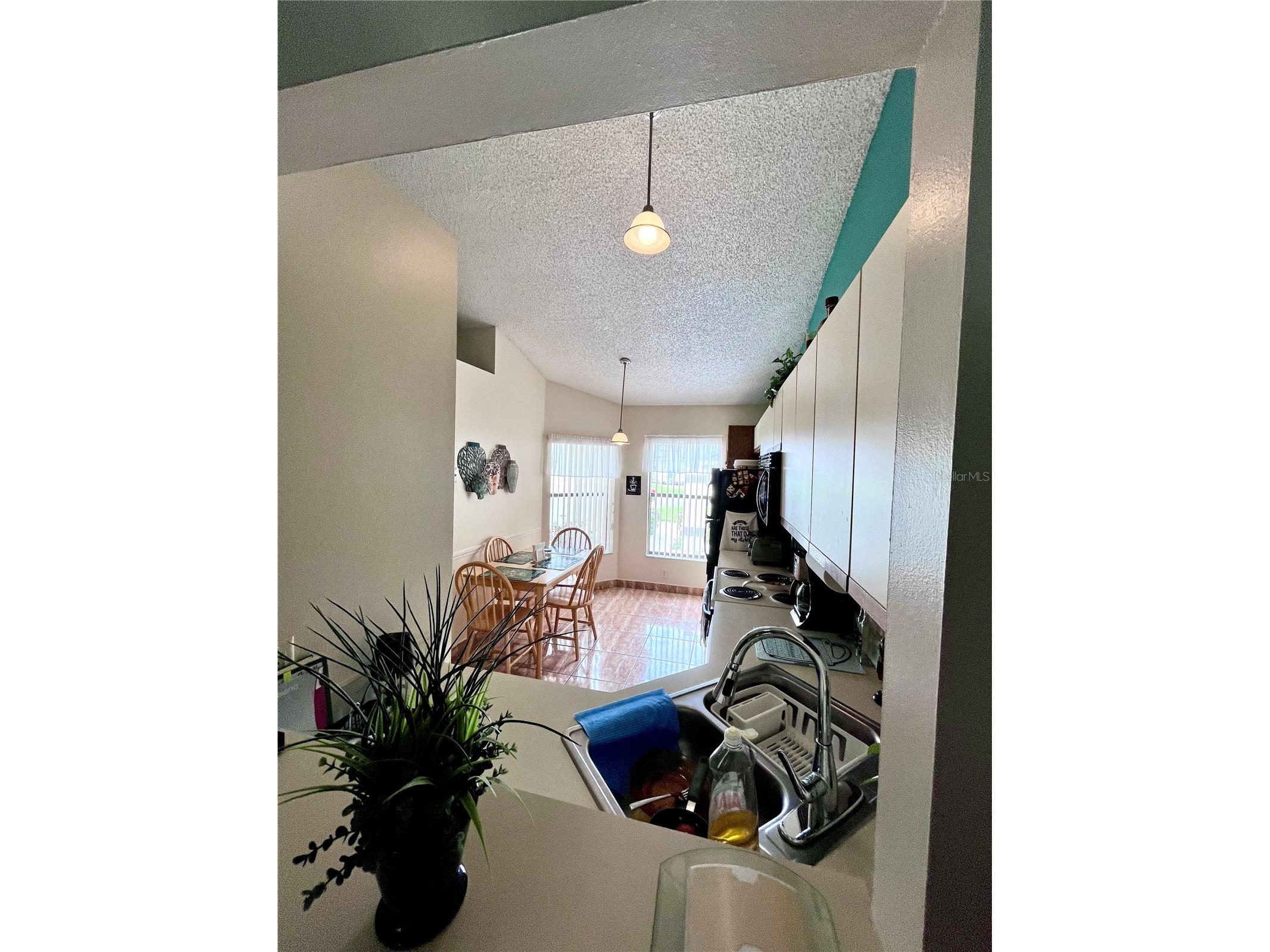 29 Lakepointe Circle Kissimmee FL 34743 O6401959 image15