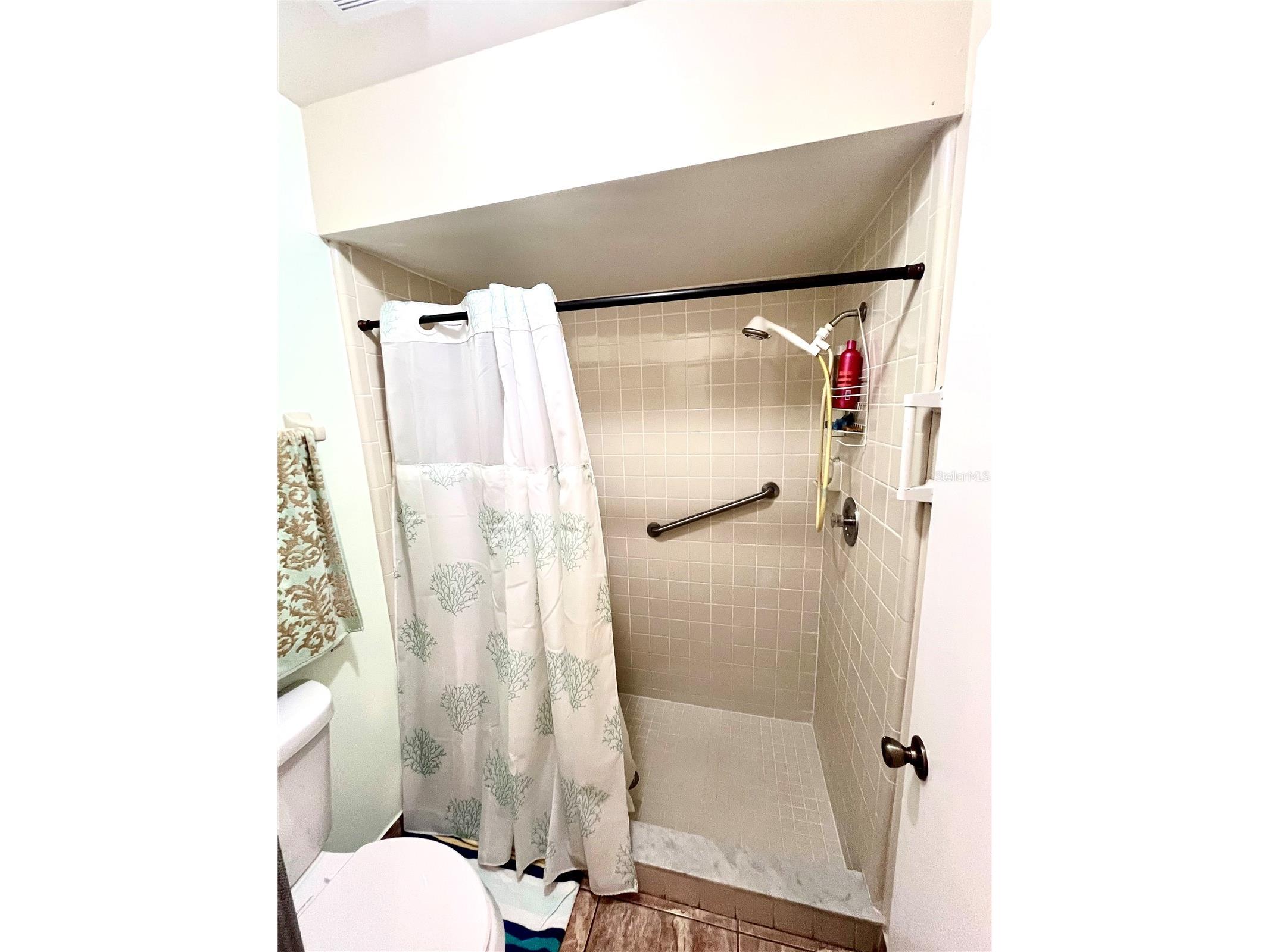 29 Lakepointe Circle Kissimmee FL 34743 O6401959 image28