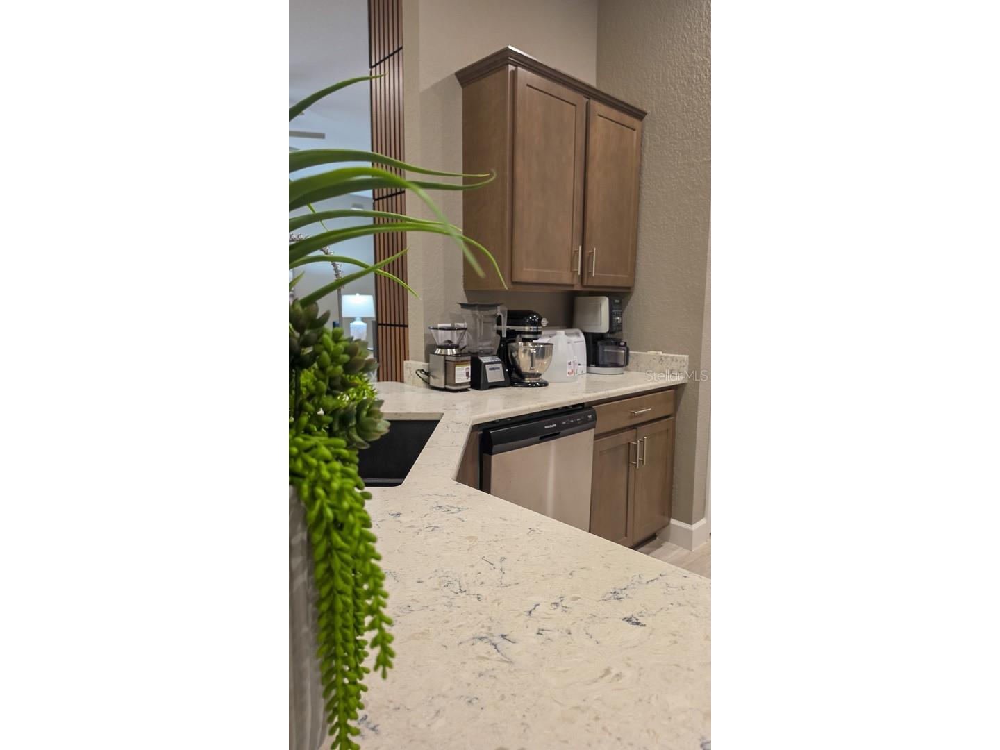 29 Matricaria Court Homosassa FL 34446 OM726174 image26