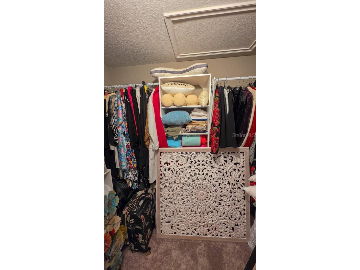 29 Matricaria Court Homosassa FL 34446 OM726174 image45