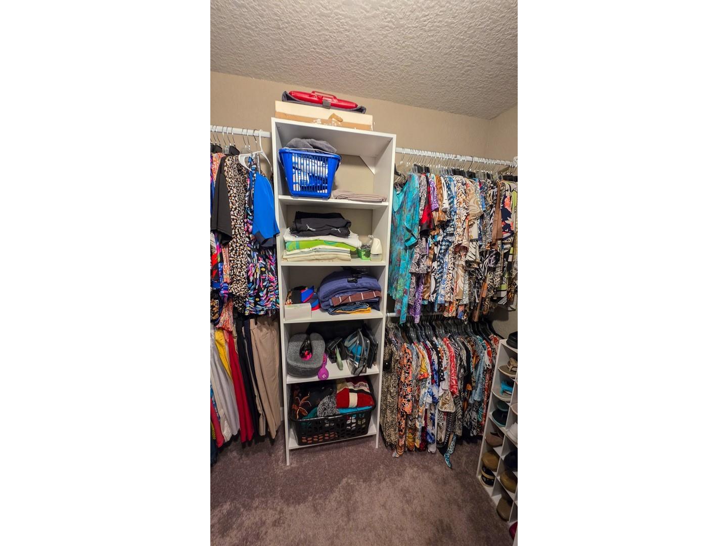 29 Matricaria Court Homosassa FL 34446 OM726174 image46