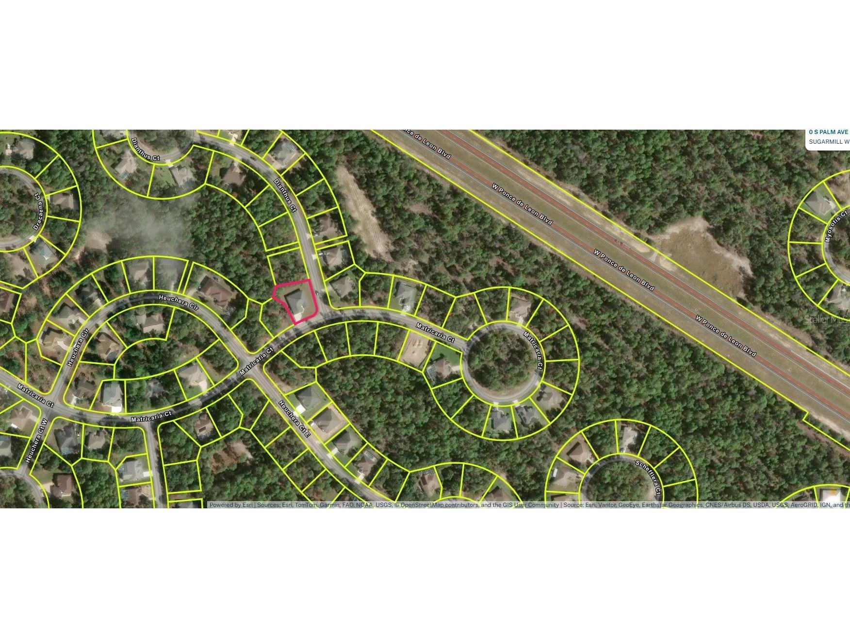 29 Matricaria Court Homosassa FL 34446 OM726174 image85