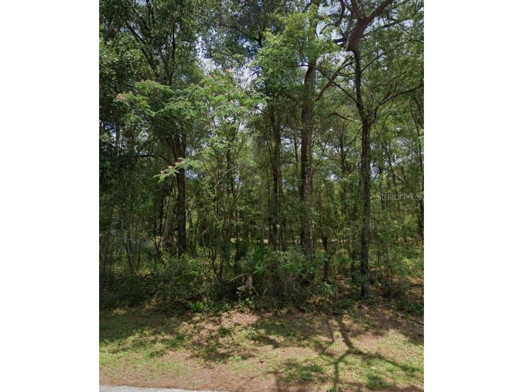 29 N Rooks Avenue Inverness FL 34453 GC528309 image1