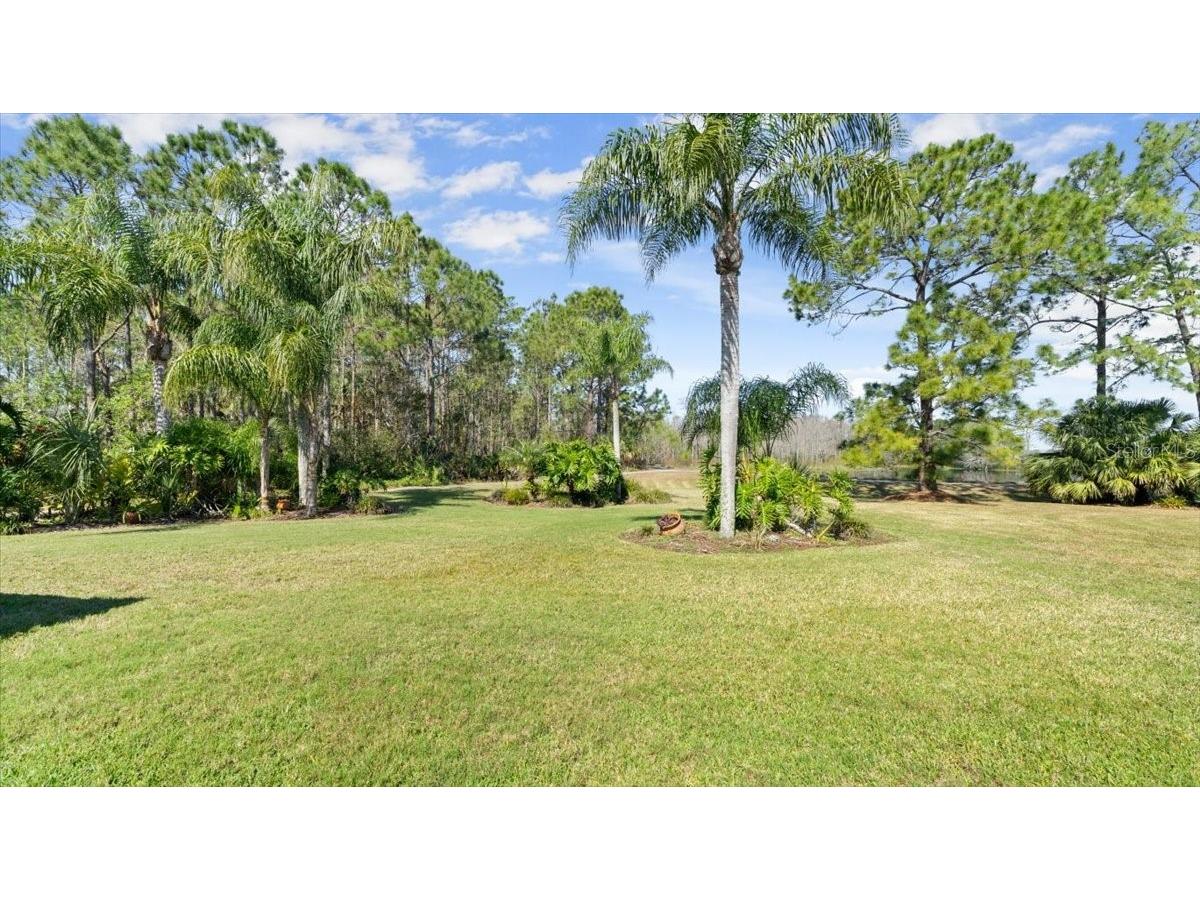 29 Promenade At Lionspaw Daytona Beach FL 32124 NS1084093 image45