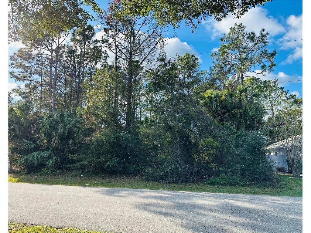 29 Providence Lane Palm Coast FL 32164 FC305948 image1