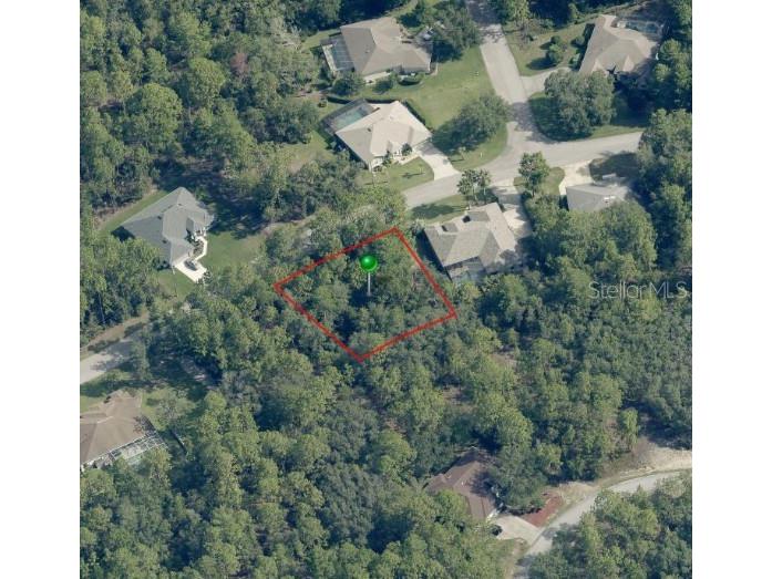 29 Saintpaulia Street Homosassa FL 34446 W7885886 image1